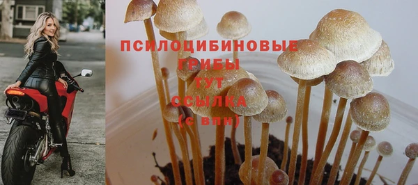 круглые Алексин