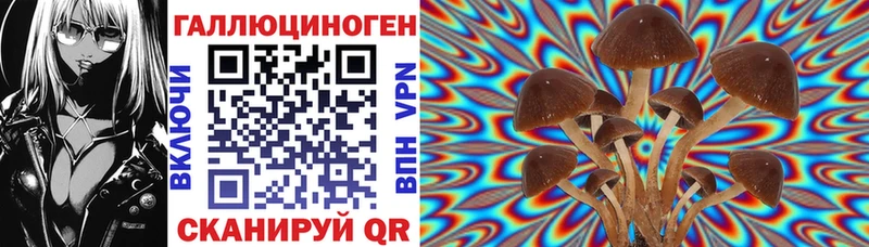 Галлюциногенные грибы Psilocybe  Мегион 