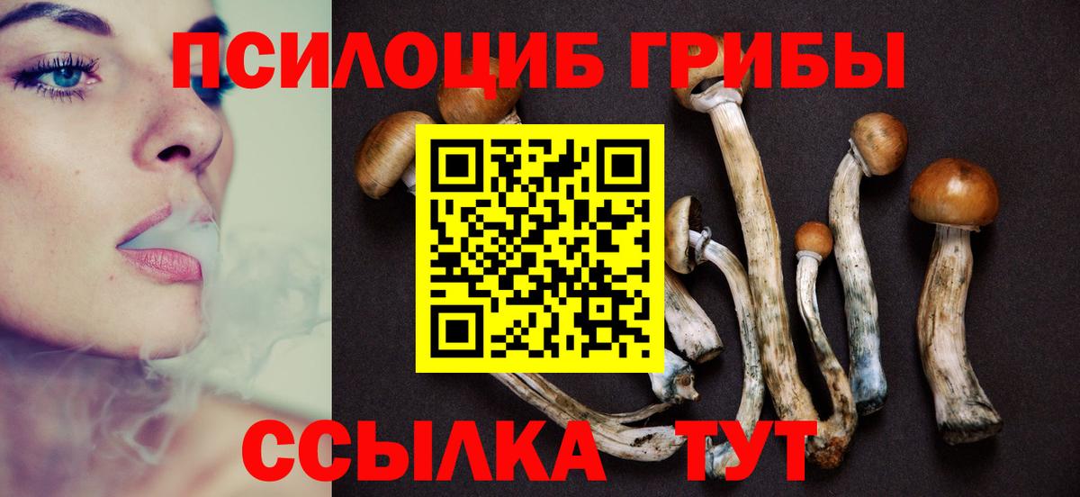 Галлюциногенные грибы MAGIC MUSHROOMS  Вход с VPN  Мегион 